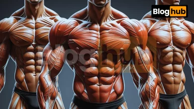 Kas Gelişimi İçin İdeal Antrenman Sıklığı Ne Olmalı?